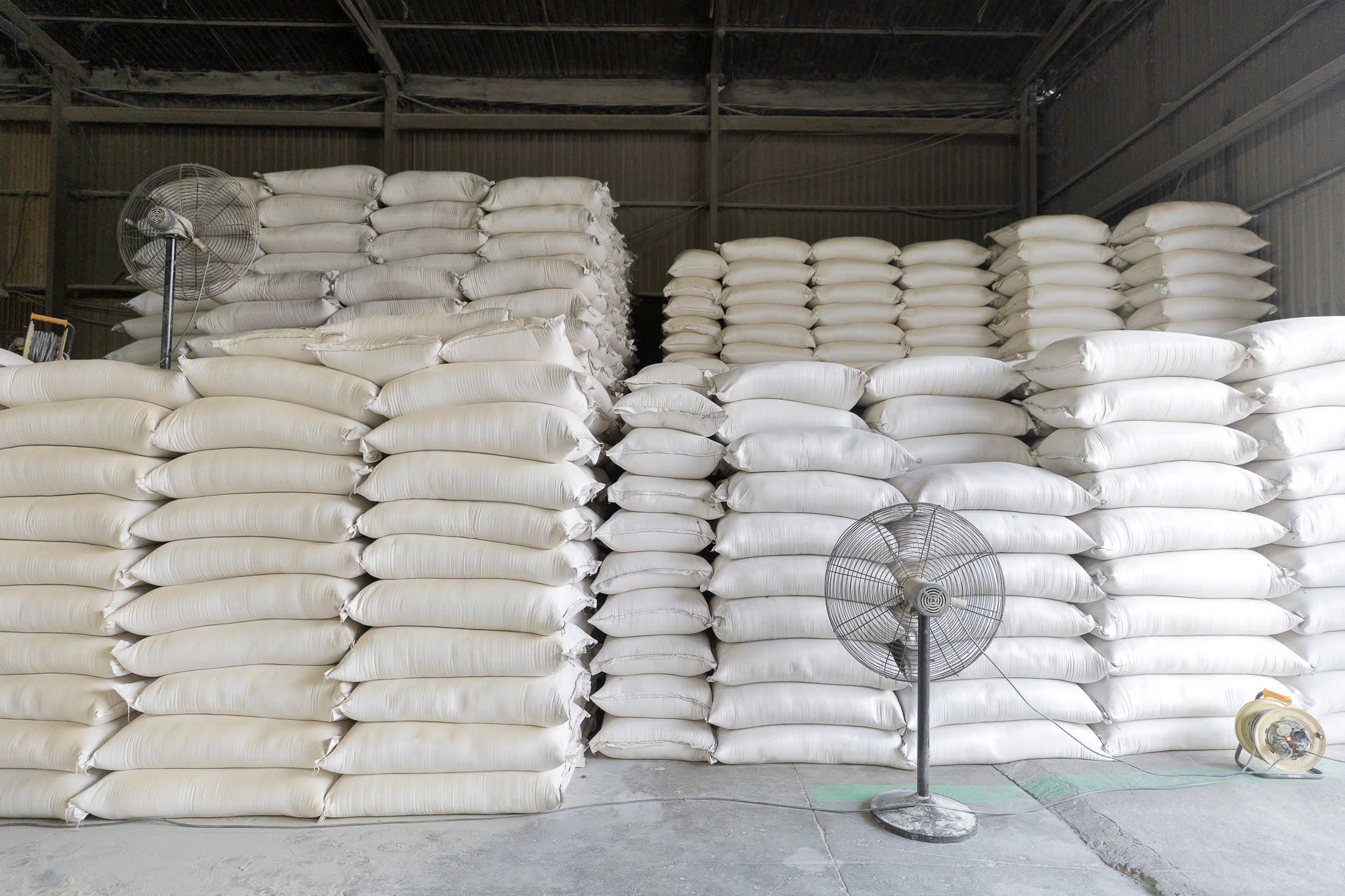TAPIOCA RESIDUE POWDER/TAPIOCA FIBER/CASSAVA RESIDUE POWDER TAPIOCA RESIDUE POWDER/TAPIOCA FIBER/CASSAVA RESIDUE POWDER