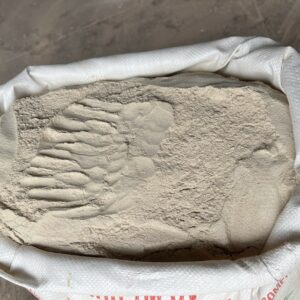 onggok starch powder